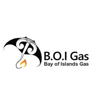 daj-customer_0002_boi-logo.jpg