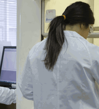Lab Image 2