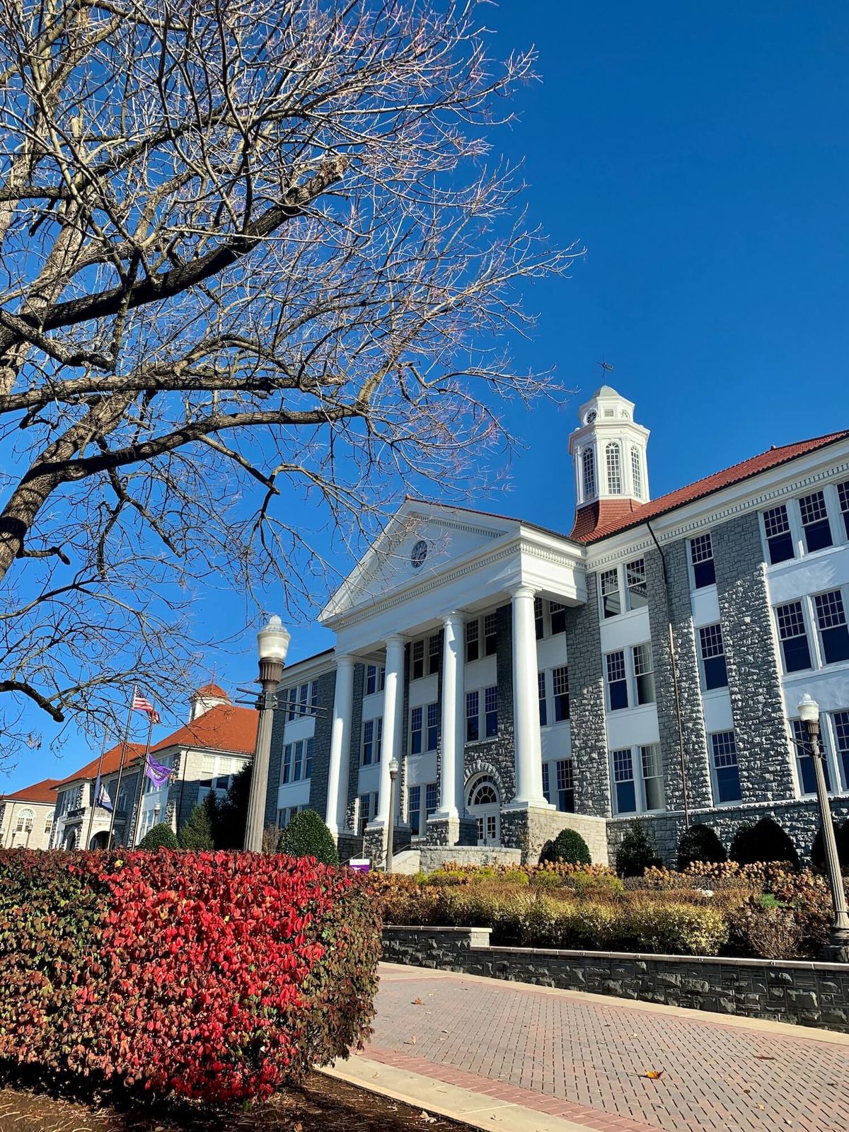 Rapid Recovery Central Virginia