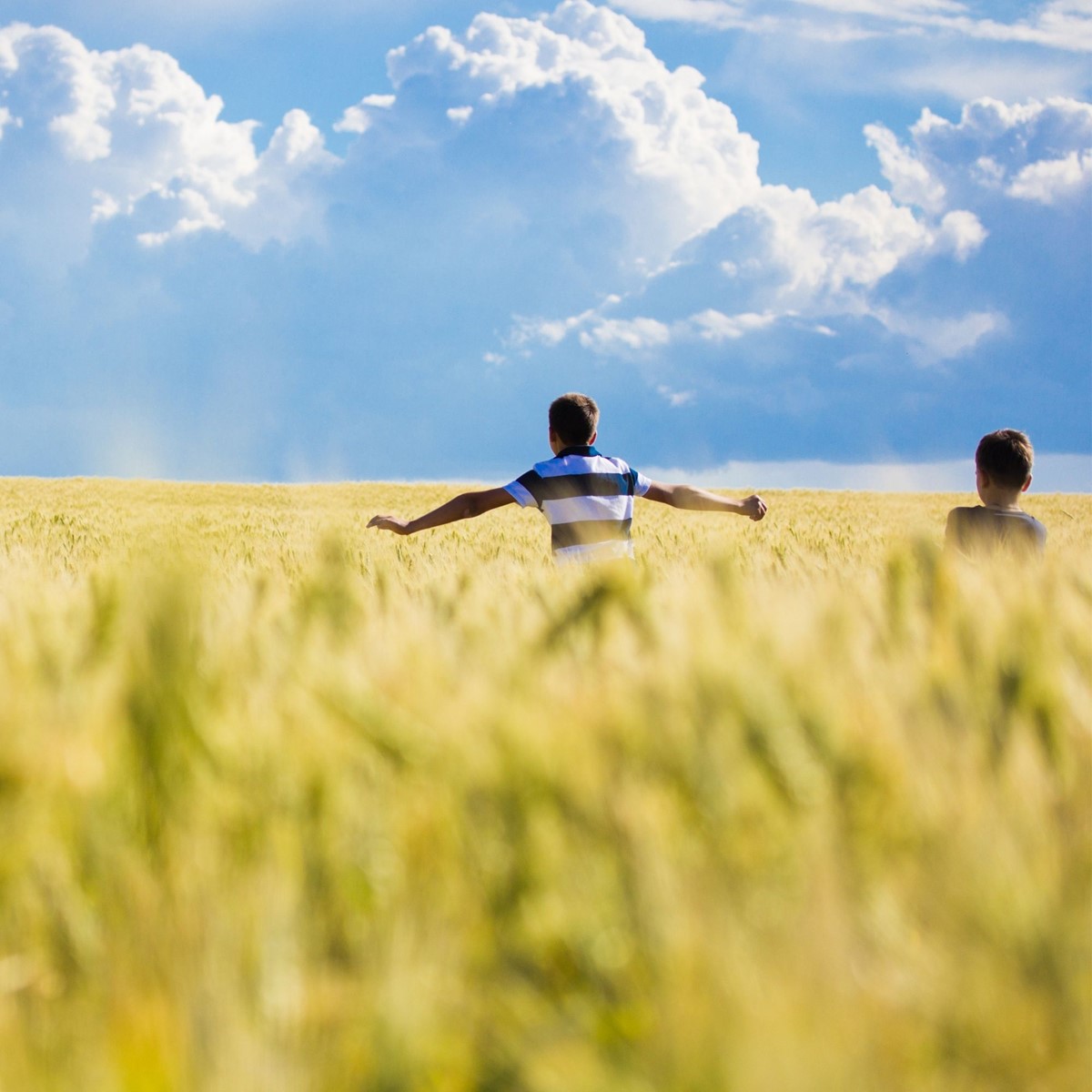 Two young boys run through a field of long grasses with their arms outstretched, above them large fluffy clouds fill the sky.