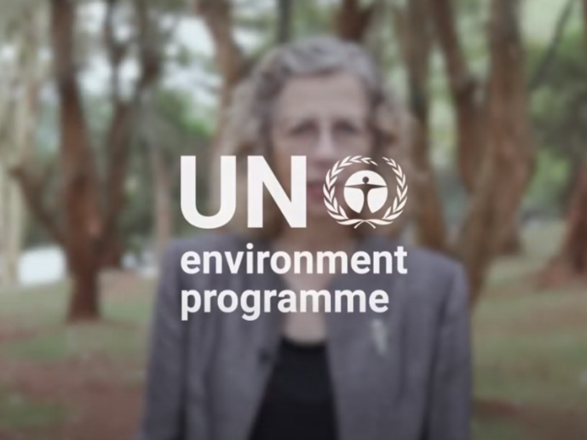 The UN Environment Programme logo in white text with a blurred woman in the background