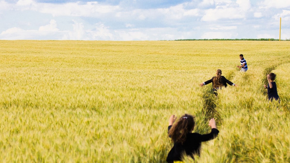 children running through a corn field under blue skies